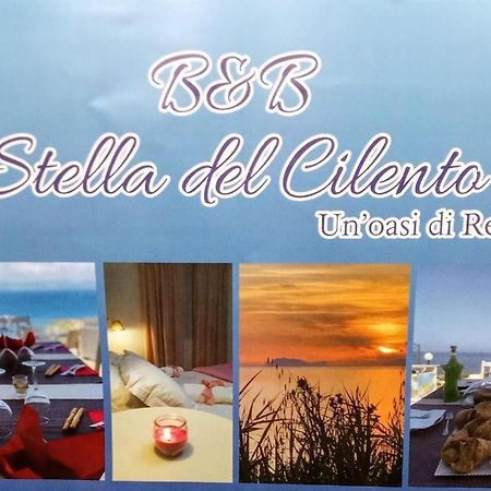 אגרופולי B&B Stella Del Cilento Di Anna Botti מראה חיצוני תמונה