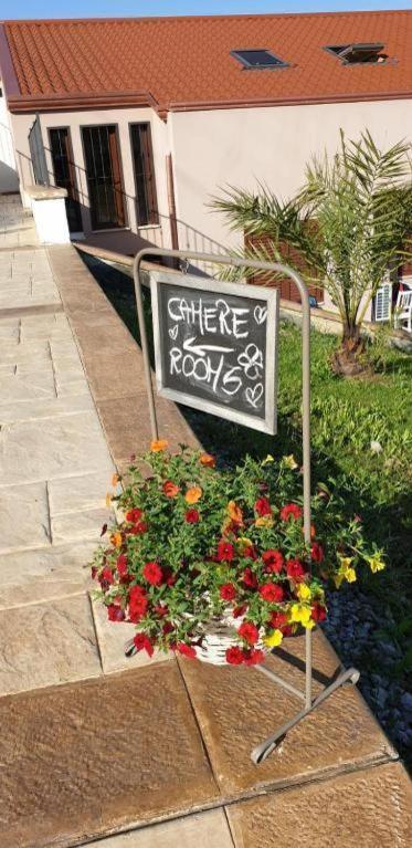 אגרופולי B&B Stella Del Cilento Di Anna Botti מראה חיצוני תמונה