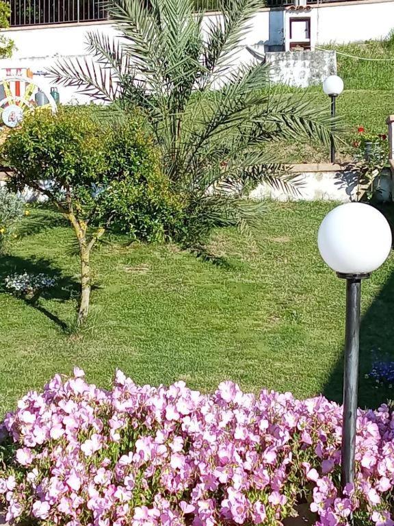אגרופולי B&B Stella Del Cilento Di Anna Botti מראה חיצוני תמונה